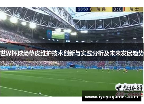 世界杯球场草皮维护技术创新与实践分析及未来发展趋势