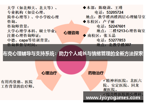 布克心理辅导与支持系统：助力个人成长与情绪管理的全新方法探索